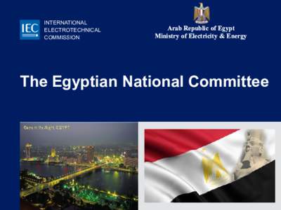 INTERNATIONAL ELECTROTECHNICAL COMMISSION Arab Republic of Egypt Ministry of Electricity & Energy