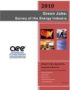 Microsoft Word - Survey of The Green Energy Industry 2010.doc