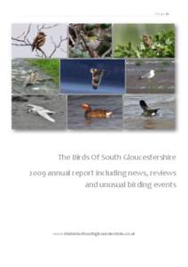 P a g e |1  The Birds Of South Gloucestershire 2009 annual report including news, reviews and unusual birding events