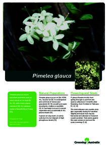 Botany / Biology / Sowing / Land management / Flora of New South Wales / Plant reproduction / Seeds / Pimelea