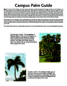 Campus Palm Guide P alms are icons of the Tropics, but their range and impact extend far beyond the Tropics of Cancer and Capricorn. In nature, palm fruits are important food resources for many species of wild animals. W