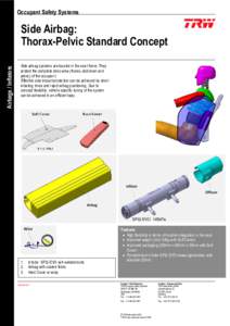 Occupant Safety Systems  Airbags / Inflators Side Airbag: Thorax-Pelvic Standard Concept