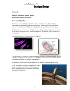 Session 10 Part III – Intelligent Design (cont.) Irreducible Complexities (continued)  The Bacterial Flagellum