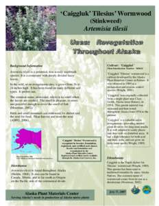 Wormwood / Revegetation / Palmer /  Alaska / Geography of Alaska / Environment / Geography of the United States / Medicinal plants / Artemisia / Sagebrush