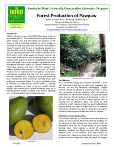 Kentucky State University Cooperative Extension Program  Forest Production of Pawpaw Kirk W. Pomper, Ph.D. and Sheri B. Crabtree, M.Sc. Community Research Service Pawpaw Research Program, Atwood Research Facility