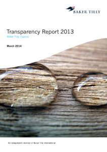 Transparency Report 2013 Baker Tilly, Cyprus March 2014  Contents