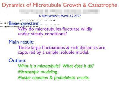 Dynamics of Microtubule Growth & Catastrophe T. Antal, P. Krapivsky, SR, M. Mailman, B. Chakraborty, q-bioU Mass Amherst, March 15, 2007  Basic question: