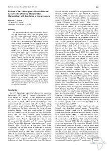 Harpactirinae / Ceratogyrus / Pterinochilus / Ornithoctoninae / Tarantula / Anatomical terms of location / Tibialis anterior muscle / Arachnid / Theraphosidae / Phyla / Protostome