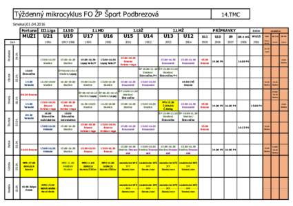 Týždenný mikrocyklus FO ŽP Šport Podbrezová  14.TMC Smékal,Fortuna