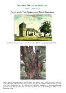 Caynham Yew crown reduction Monday, 13 February 2012 David Alviti - Tree Services and Rustic Creations  Caynham’s veteran yew as painted in 1791 by the Rev’d Williams and photographed in 2012.