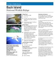 U.S. Fish & Wildlife Service  Buck Island National Wildlife Refuge  photo: USFWS