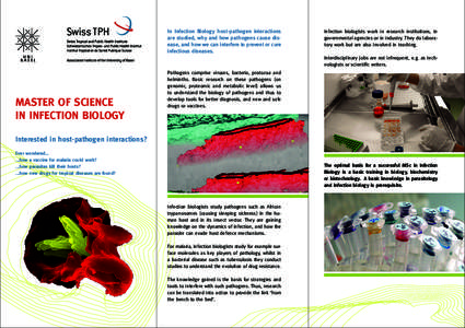 In Infection Biology host-pathogen interactions are studied, why and how pathogens cause disease, and how we can interfere to prevent or cure infectious diseases. Infection biologists work in research institutions, in go