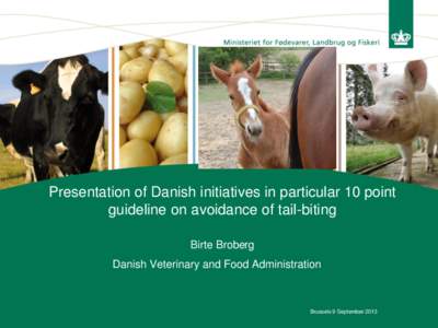Presentation of Danish initiatives in particular 10 point guideline on avoidance of tail-biting Birte Broberg Danish Veterinary and Food Administration