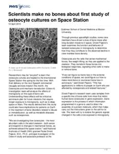 Scientists make no bones about first study of osteocyte cultures on Space Station
