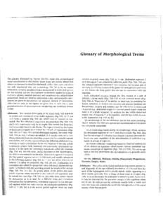 l I I Glossary of Morphological Terms