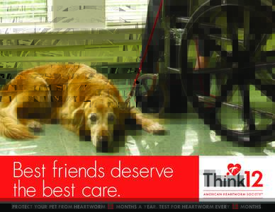 Best friends deserve the best care. PROTECT YOUR PET FROM HEARTWORM 12 MONTHS A YEAR. TEST FOR HEARTWORM EVE RY 12 MONTHS.