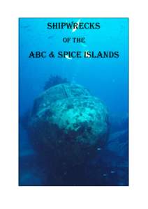 shiPWrecKs oF the ABc & sPice islAnds  AruBA