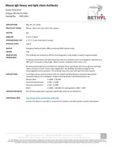 Mouse IgG-heavy and light chain Antibody Sheep Polyclonal Antigen Affinity Purified Catalog No. A90-146A