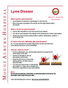 Mount Auburn Hospital  Lyme Disease What Causes Lyme Disease? •	 Lyme Disease is caused by a blacklegged or deer tick bite. •	 Risk of exposure is greatest in the woods and the edge between lawns