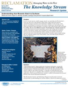 Spring 2014 Research and DevelopmHQW2I¿FH Bulletin[removed]The Knowledge Stream