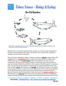 fs_biology&ecology_reproduction_v2