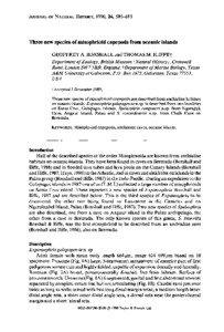 Three new species of misophrioid copepods from oceanic islands GEOFFREY A. BOXSHALL and THOMAS M. ILIFFEt Department of Zoology, British Museum (Natural History), Cromwell