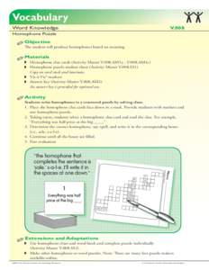 Vocabulary Word Knowledge V.008  Homophone Puzzle