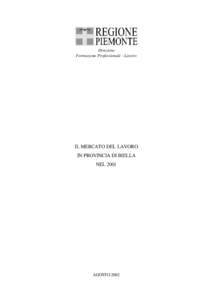 Direzione Formazione Professionale - Lavoro IL MERCATO DEL LAVORO IN PROVINCIA DI BIELLA NEL 2001