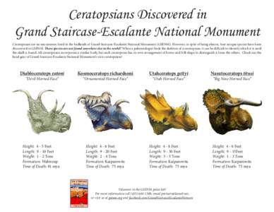 Ceratopsians Discovered in Grand Staircase-Escalante National Monument Ceratopsians are an uncommon fossil in the badlands of Grand Staircase-Escalante National Monument (GSENM). However, in spite of being elusive, four 