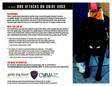 Guide Dog Board - Veterinary Tip Sheet:  Dog Attacks on Guide Dogs