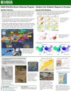 USGS Wild Bird Avian Influenza Program - Studies from Endemic Regions of Eurasia Satellite Telemetry Disease Risk Modeling  • Beginning in 2007, USGS Patuxent Wildlife Research Center (PWRC) and