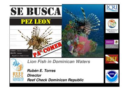 Lion Fish in Dominican Waters Rubén E. Torres Director Reef Check Dominican Republic  INVASION STATUS