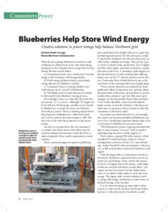 Consumers Power  Blueberries Help Store Wind Energy Creative solutions to power storage help balance Northwest grid By Katie Pruder Scruggs Bonneville Power Administration