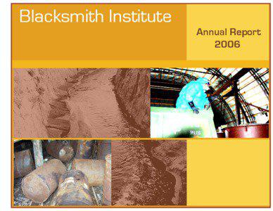 Blacksmith Institute  Annual Report