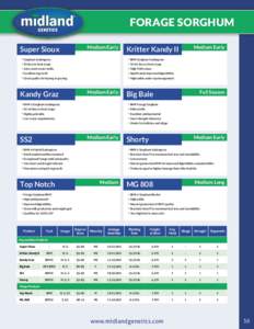 FORAGE SORGHUM Medium Early Super Sioux Sorghum-Sudangrass