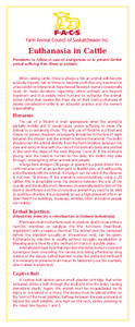 Euthanasia in Cattle Procedures to follow in case of emergencies or to prevent further animal suffering from illness or accident. When raising cattle, there is always a risk an animal will become seriously injured, fail 