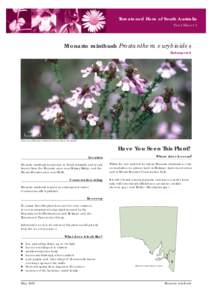 Prostanthera eurybioides / Prostanthera / Monarto /  South Australia / Ecological restoration / Grazing / Friends of Parks / Bush regeneration / States and territories of Australia / Conservation in Australia / Environment of Australia