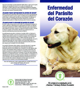 Heartworm Disease (Spanish)