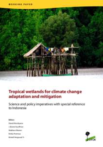 WORKING PAPER  Tropical wetlands for climate change adaptation and mitigation Science and policy imperatives with special reference to Indonesia
