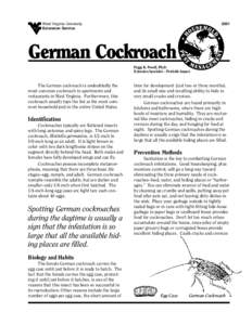 Pest control / Roach bait / German cockroach / Insect / Orkin / American cockroach / Cultural references to cockroaches / Cockroaches / Phyla / Protostome