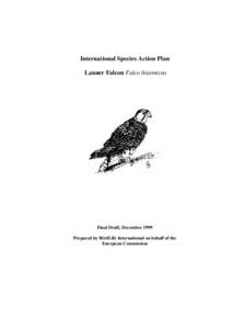 International Species Action Plan Lanner Falcon Falco biarmicus Final Draft, December 1999 Prepared by BirdLife International on behalf of the European Commission