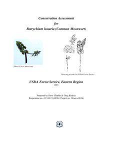 Conservation Assessment for Botrychium lunaria (Common Moonwort)