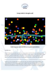 Campi	
  elettrici	
  sbroglia-­‐nodi	
   	
   	
    