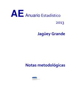 AE Anuario Estadístico 2013 Jagüey Grande Notas metodológicas