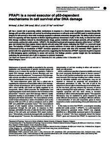 PRAP1 is a novel executor of p53-dependent mechanisms in cell survival after DNA damage