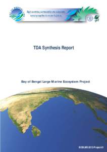 TDA Synthesis Report  Bay of Bengal Large Marine Ecosystem Project BOBLME-2012-Project-01