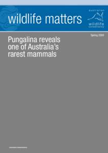 australian  wildlife matters Pungalina reveals one of Australia’s rarest mammals