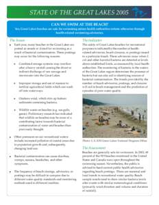 STATE OF THE GREAT LAKES 2005 CAN WE SWIM AT THE BEACH? Yes, Great Lakes beaches are safe for swimming unless health authorities inform otherwise through health-related swimming advisories.  The Issues