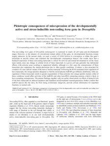 Pleiotropic consequences of misexpression of the developmentally active and stress-inducible non-coding hsrω gene in Drosophila MOUSHAMI MALLIK† and SUBHASH C LAKHOTIA*