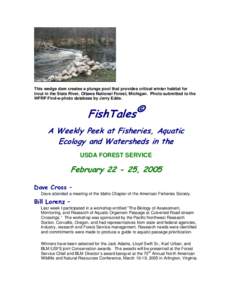 This wedge dam creates a plunge pool that provides critical winter habitat for trout in the Slate River, Ottawa National Forest, Michigan. Photo submitted to the WFRP Find-a-photo database by Jerry Edde. FishTales© A We